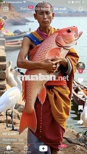 Dư xe bán nhanh gọn lẹ-ai cần xe chở con đi học Ạ