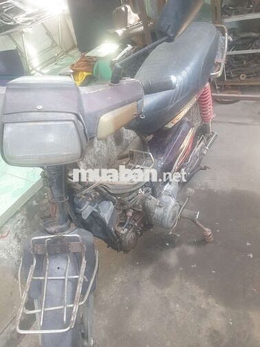 Bán Dream thái 1996