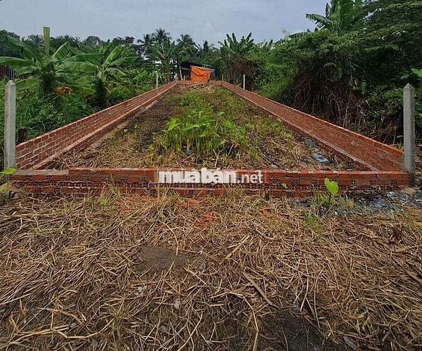 Bán Đất Thổ Cư ,Sổ Hồng Riêng ,Đường Huỳnh Thị Dần, Xã Bình Mỹ,Củ Chi