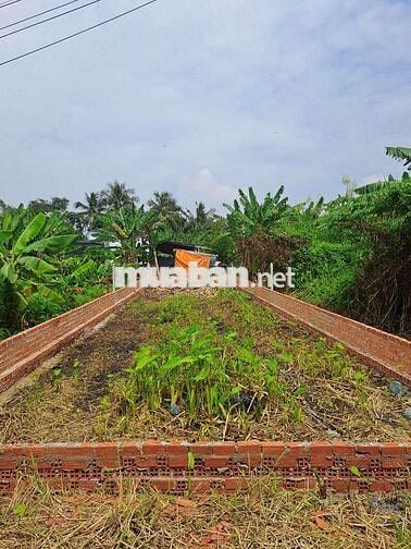 Bán Đất Thổ Cư ,Sổ Hồng Riêng ,Đường Huỳnh Thị Dần, Xã Bình Mỹ,Củ Chi