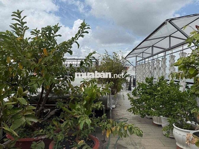 CẦN NHƯỢNG LẠI MẶT BẰNG KINH DOANH VP HOÀNG VĂN THỤ, TB. GIÁ 6TỶ590 TL