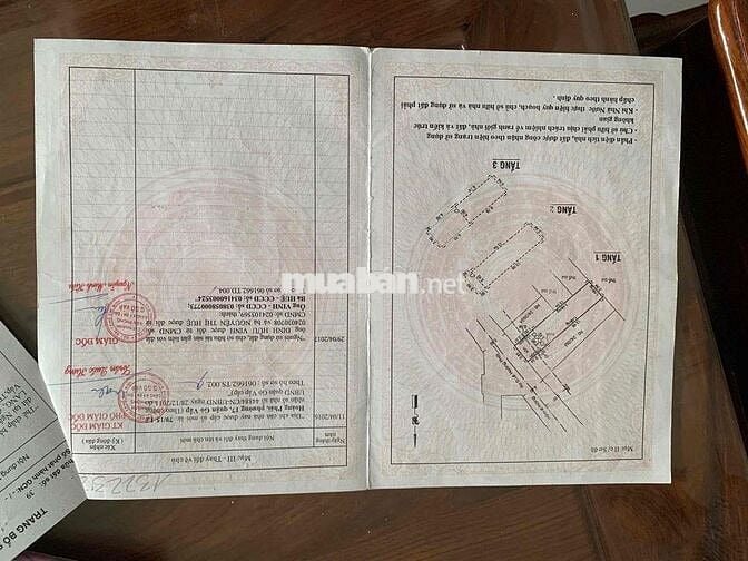 🏠 BÁN NHÀ ĐẸP – 1 TRỆT 2 LẦU – DIỆN TÍCH 3,8m x 16m (NỞ HẬU) – GIÁ TỐT