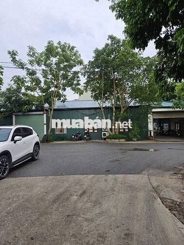🏭 BÁN 3100M² ĐẤT CÓ SẴN KHO XƯỞNG – LIÊN NINH, THANH TRÌ – HÀ NỘI 🏭