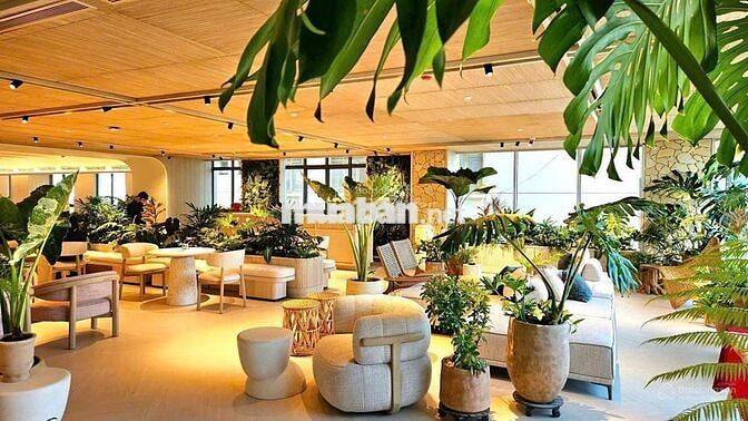 Chỉ 680tr sở hữu căn hộ 65m2 The Gió Riverside chủ đầu tư An Gia