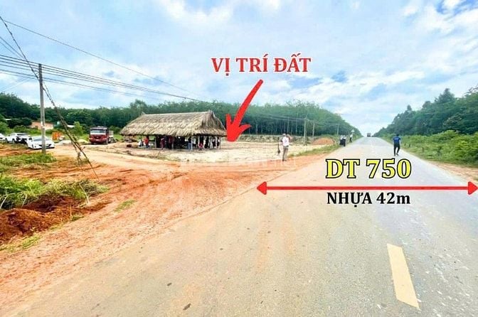 Sổ sẵn, công chứng ngay. Đất nền 100m2 Long Hòa, Dầu Tiếng.