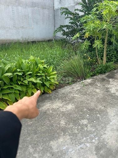 Mảnh đất nằm ngay trung tâm Mỹ Hạnh Nam với giá hợp lý 