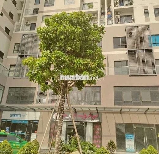 Mặt tiền Tạ Quang Bửu-Bán gấp căn hộ The Pegasuite 2 1pn+1 nội thất tk