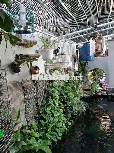 💫🌷BÁN BIỆT THỰ NHÀ VƯỜN – P. TÂN TIẾN, THỔ CƯ HOÀN CÔNG