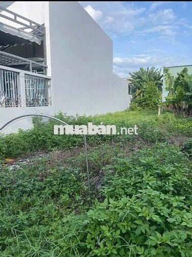BÁN ĐẤT: 143m2 đất 1/ Cây Da - Tân Phú Trung SHR