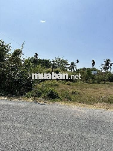 150m2 Thổ Cư Đường Nhựa Nguyễn Văn Dư, 655 TRIỆU, kế Chợ, Trường Học