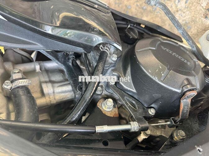 Winer X cccd chủ kiểng nhẹ