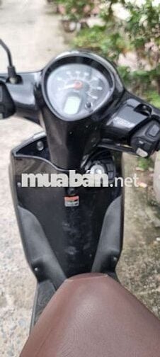 Bán xe Janus 2018