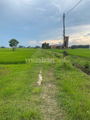 Bán đất rẻ Hoà Khánh Tây 1447m2 đất lúa chỉ 1ty2 . Thương lượng