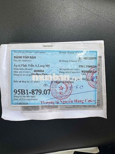 Winer X cccd chủ kiểng nhẹ