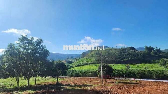 Chủ gửi bán lô đât view đẹp tại Lâm Hà giá chỉ 575tr