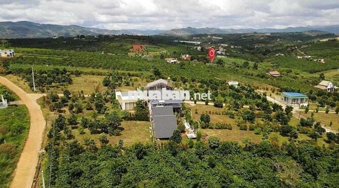 Kẹt tiền chủ gửi bán lô đất đẹp gần sân bay giá chỉ 659tr