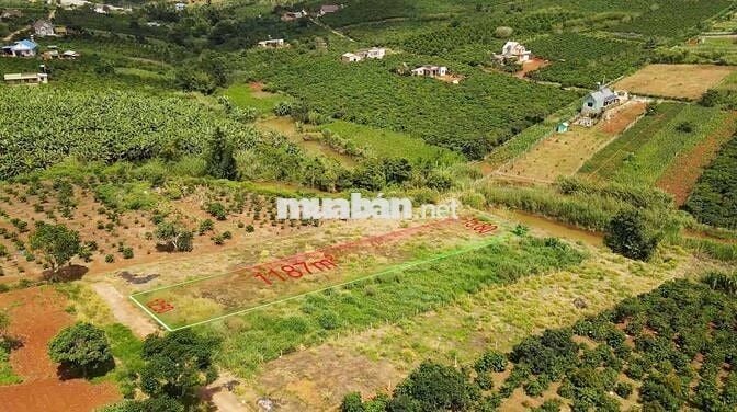 Kẹt tiền chủ gửi bán lô đất đẹp gần sân bay giá chỉ 659tr