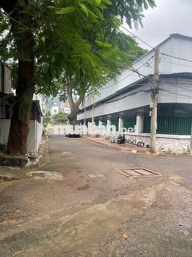 Đất trống full thổ cư. Hẻm 8 mét xe hơi quay đầu
