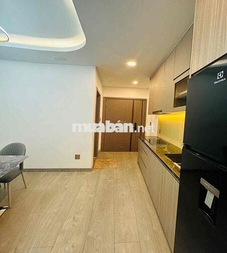 CĂN HỘ 1PN – NGUYỄN THỊ THẬP, KDC HIM LAM, TÂN HƯNG, QUẬN 7