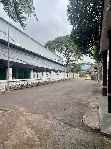 Đất trống full thổ cư. Hẻm 8 mét xe hơi quay đầu