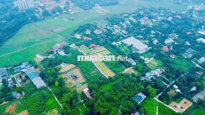 SIÊU PHẨM MỚI FULL THỔ CƯ – TẠI HÒA LẠC💥💯