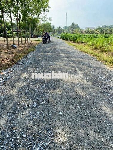 Đất Hảo đước / cách HL4 ,trường học,70m