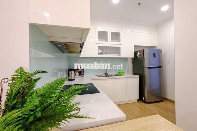 Vinhomes Gardenia - Mỹ Đình sẵn CH 110m2 3PN nội thất đẹp giá 22tr/th