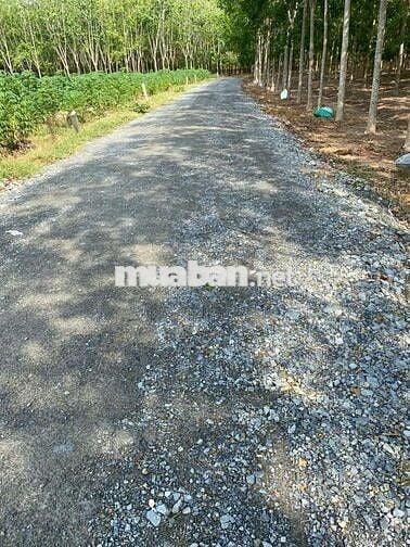Đất Hảo đước / cách HL4 ,trường học,70m