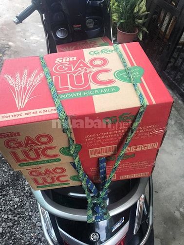 SỮA GẠO LỨT CG FOOD – THỨC UỐNG LÀNH MẠNH CHO CUỘC SỐNG HIỆN ĐẠI ✨ 