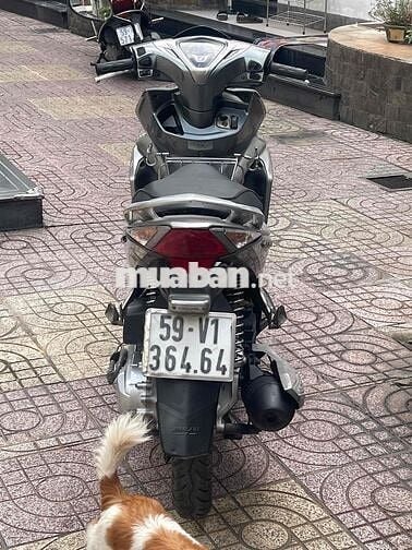 Bán xe Ab Fi đầu bò,Bstp cặp 346.46 ,xe đẹp Gtdd