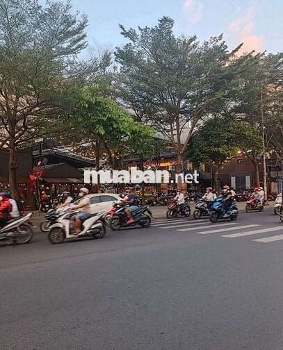 MT Vườn Lài 25x16 Gần Trường Đại Học