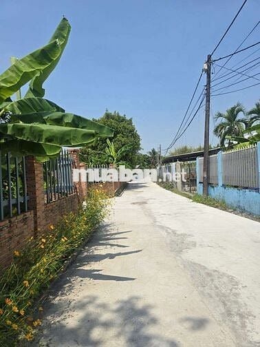 1985m2 đất có 600m2 thổ cư gần sông sài gòn bán 7.5 triệu m2