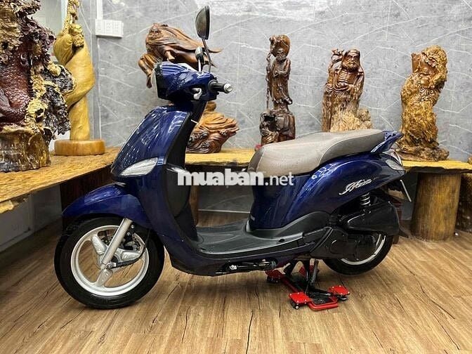 👉Nozza Fi biển SG máy móc zin êm, dàn áo liền lạc