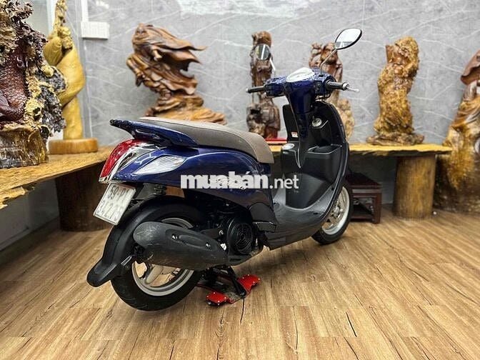 👉Nozza Fi biển SG máy móc zin êm, dàn áo liền lạc