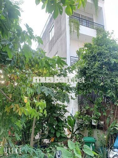 Bán Đất Lê Văn Khương Q12 Thổ cư 233m Giá 32tr/m