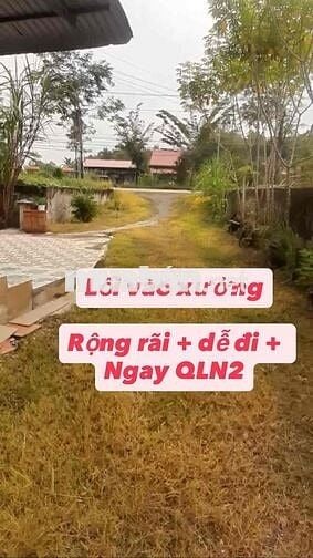 [CHO THUÊ XƯỞNG ]  Ngay KP An Phú, Trảng Bàng, Tây Ninh  Ngang 6m*35m