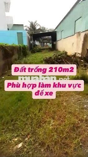 [CHO THUÊ XƯỞNG ]  Ngay KP An Phú, Trảng Bàng, Tây Ninh  Ngang 6m*35m