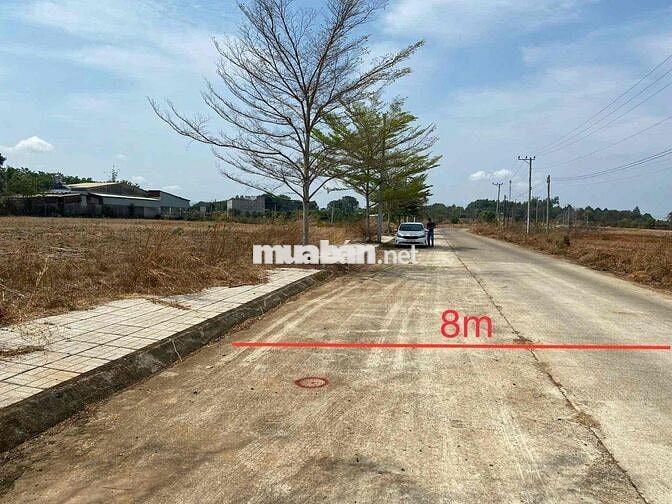 Thanh lý lô đất 290m2 tại Hắc Dịch, Phú Mỹ, BRVT giá chỉ 733 triệu