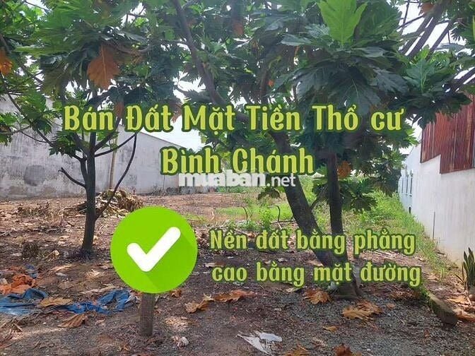 18m x 53m Mặt Tiền Trương Văn Đa, Bình Lợi, Bình Chánh