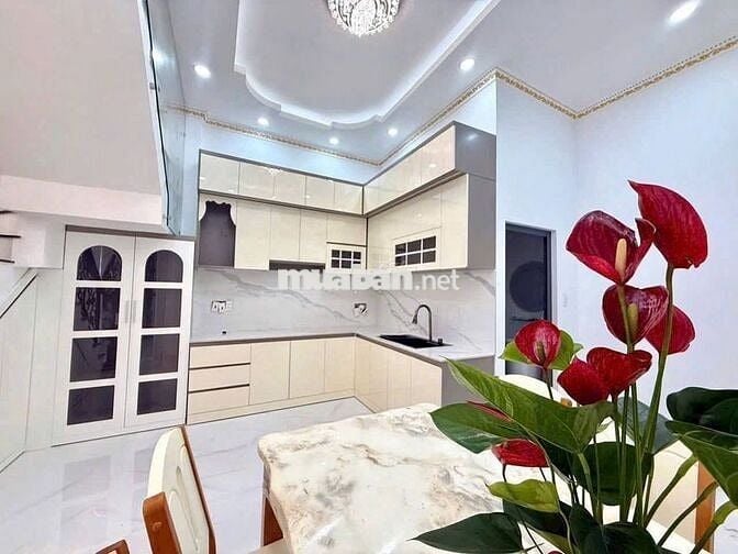 2 CĂN NHÀ PHƯỜNG 5 TRUNG TÂM NỘI Ô LUXURY ĐẲNG CẤP HẺM XE HƠI