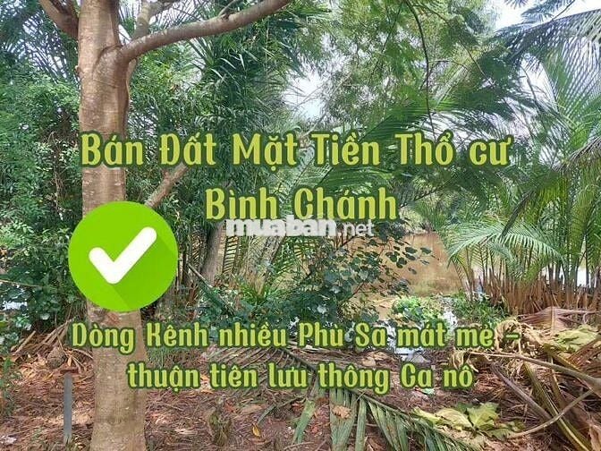 18m x 53m Mặt Tiền Trương Văn Đa, Bình Lợi, Bình Chánh