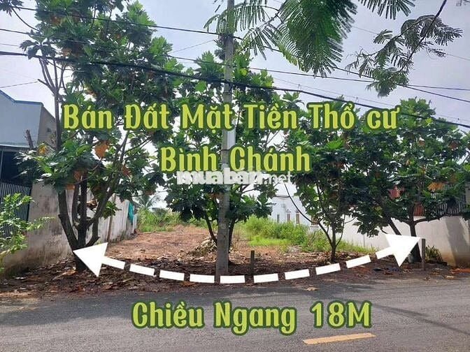 18m x 53m Mặt Tiền Trương Văn Đa, Bình Lợi, Bình Chánh