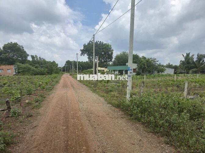 Bán đất QL55 biển BÌNH CHÂU – 1000m2 – 1,9 TỶ –CÓ 120m THỔ CƯ