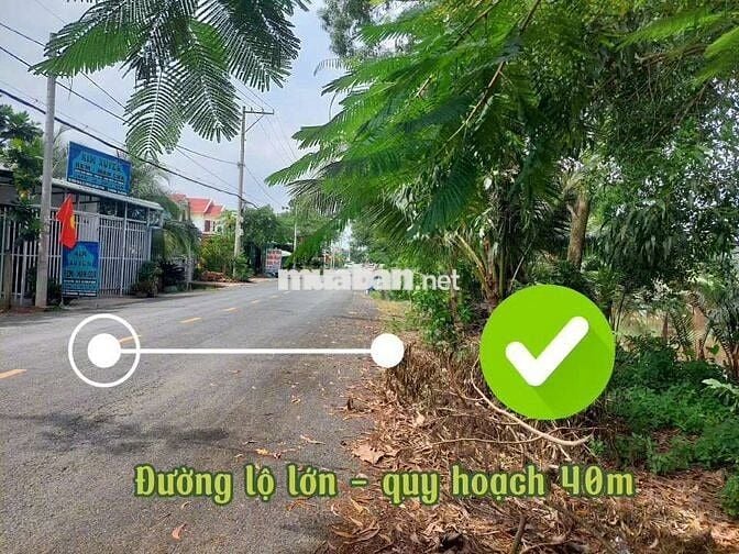 18m x 53m Mặt Tiền Trương Văn Đa, Bình Lợi, Bình Chánh