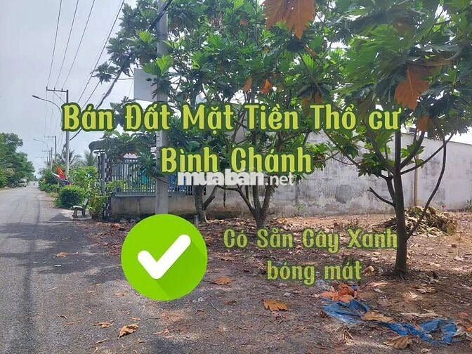 18m x 53m Mặt Tiền Trương Văn Đa, Bình Lợi, Bình Chánh