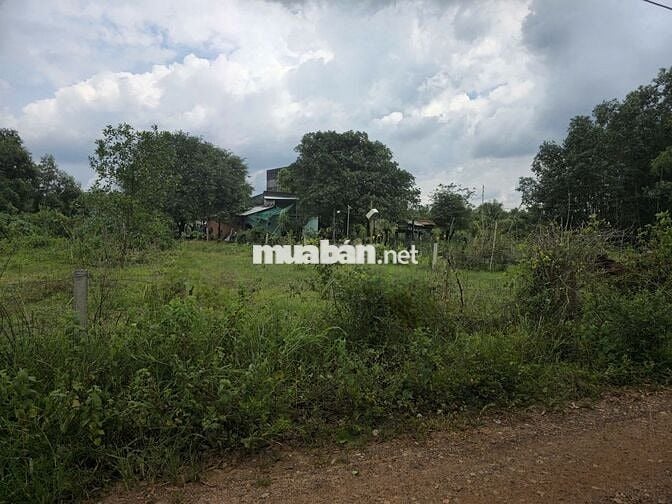 Bán đất QL55 biển BÌNH CHÂU – 1000m2 – 1,9 TỶ –CÓ 120m THỔ CƯ