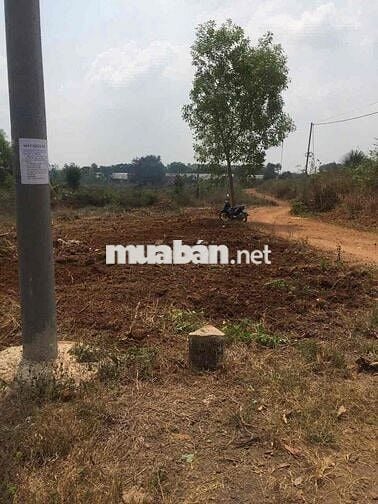 Bán nhanh lô đất 2.591m² Cây Gáo, Trảng Bom-Sổ Sẵn