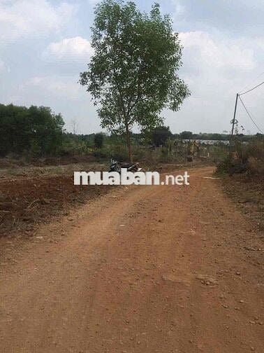 Bán nhanh lô đất 2.591m² Cây Gáo, Trảng Bom-Sổ Sẵn