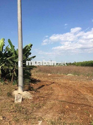 Bán nhanh lô đất 2.591m² Cây Gáo, Trảng Bom-Sổ Sẵn