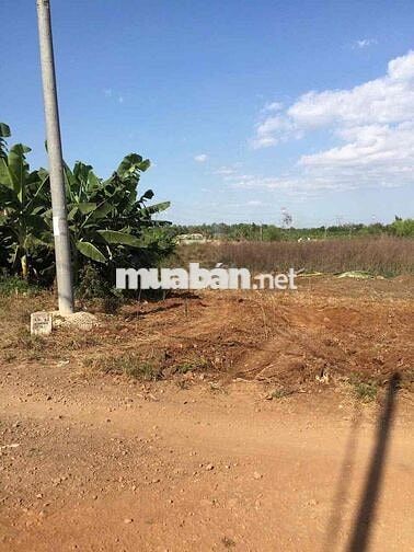 Bán nhanh lô đất 2.591m² Cây Gáo, Trảng Bom-Sổ Sẵn